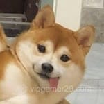 Avatar de Diego Ramos